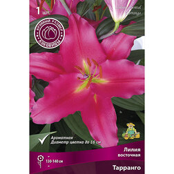 ����  ����� ��������� �������� (1��.), ������ �� 263 ���