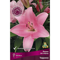 ����  ����� ��-������ ������� (1��.), ������ �� 178 ���