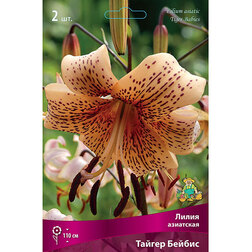 ����  ����� ��������� ������ ������ (2��.), ������ �� 455 ���