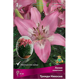 ����  ����� ��������� ������ ������� (2��.), ������ �� 299 ���