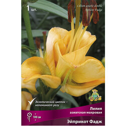 ����  ����� ��������� �������� ���� (1��.), ������ �� 319 ���