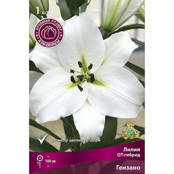 ����  ����� ��-������ ������� (1��.), ������ �� 246 ���