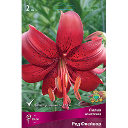 ����  ����� ��������� ��� ������� (2��.), ������ �� 455 ���