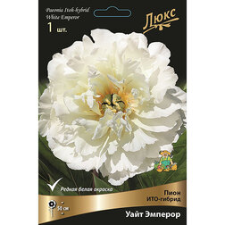 ����  ���� ���-������ ���� �������, ������ �� 7463 ���