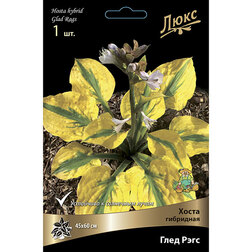 ����  ����� ��������� ���� ����, ������ �� 634 ���