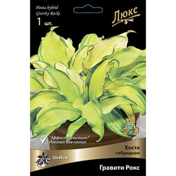 ����  ����� ��������� ������� ����, ������ �� 884 ���