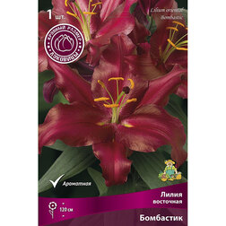 ����  ����� ��������� ��������� (1��.), ������ �� 229 ���