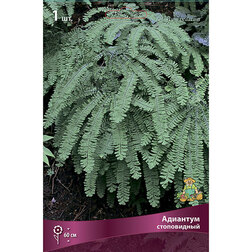 ����  �������� �����������, ������ �� 433 ���