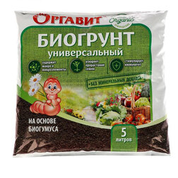 ����  �������� �� ������ ��������� (5�.) �������, ������ �� 124 ���