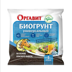 ����  �������� �� ������ �������� ������ (5�.) �������, ������ �� 119 ���