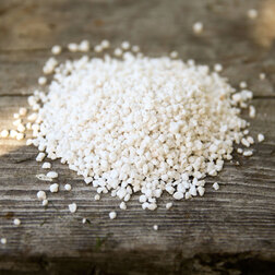 ����  ���������� (83�.), ������ �� 850 ���