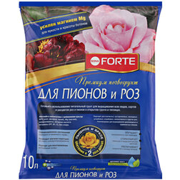 ����  ���������� ��� ��� � ������ 