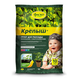 ����  ����� ������ ��� ������� 10�, �����, ������ �� 196 ���