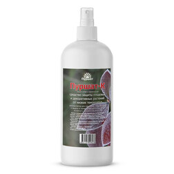 ����  ����� ��� ������ �������� � ������������ �� ������ ���������� (0,5�.) 