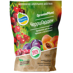 ����  ����������� ��������� ��� ����������� ����������� (850 �.), ������ �� 519 ���