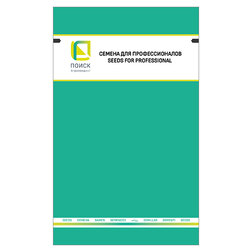 ����  �����-����� (�����-�����) ����� (��-50��), ������ �� 400 ���