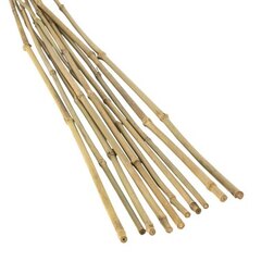 ����  ���������� ����� 105 �� 8-10 �� (10 ��.), ������ �� 159 ���