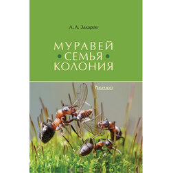 ����  ������� - ����� - �������, ������ �� 990 ���