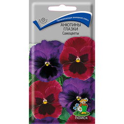 ����  ������� ������ ���������, ������ �� 45 ���