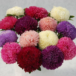 ����  ����� ����� ���� (1��-3��)���������������� ������, ������ �� 720 ���