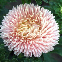 ����  ����� ����� ����� (1��-3��) ���������������� ������, ������ �� 720 ���