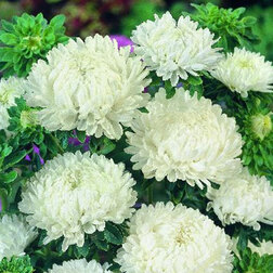 ����  ����� ���� ����� ���� (1��-3��) ���������������� ������, ������ �� 1040 ���