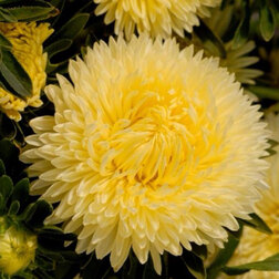 ����  ����� ���� ����� ����� (1��-3��) ���������������� ������, ������ �� 1040 ���