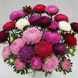 ����  ����� ������� ����(1��-3��) ���������������� ������, ������ �� 640 ���