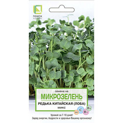 ����  ������ ��������� (����) ���� (�����������), ������ �� 45 ���