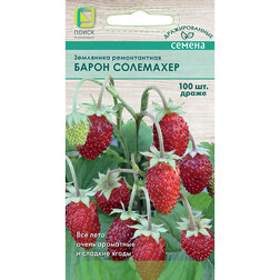 ����  ��������� ������������ (�����) ����� ��������� (100��.), ������ �� 41 ���