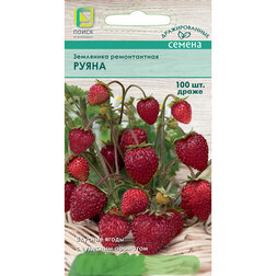 ����  ��������� ������������ (�����) ����� (100��.), ������ �� 41 ���