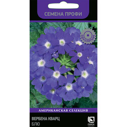 ����  ������� ����� ��� (������ �����), ������ �� 89 ���