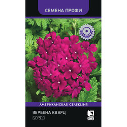 ����  ������� ����� ����� (������ �����), ������ �� 89 ���