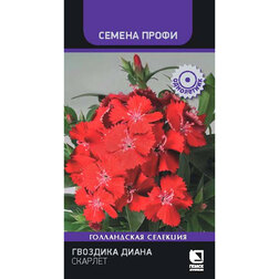 ����  �������� ����� ������� (������ �����), ������ �� 119 ���