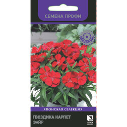 ����  �������� ������ ���� (������ �����), ������ �� 96 ���