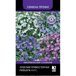 ����  ������� ������������ ������� ���� (������ �����), ������ �� 59 ���