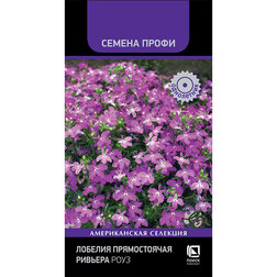 ����  ������� ������������ ������� ���� (������ �����), ������ �� 59 ���