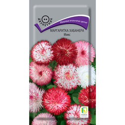 ����  ���������� �������� ����, ������ �� 54 ���