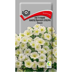 ����  ������� ��������� ����� �����, ������ �� 261 ���