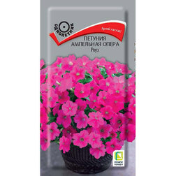 ����  ������� ��������� ����� ����, ������ �� 261 ���