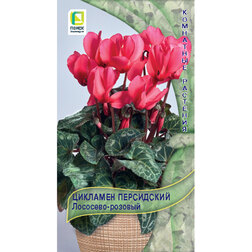 ����  �������� ���������� ��������-�������, ������ �� 71 ���