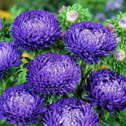 ����  ����� ���� ����� ���� ��� (1��-3��) ���������������� ������, ������ �� 1040 ���