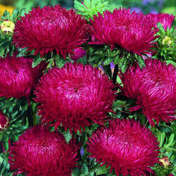 ����  ����� ���� ����� ��� ��� (1��-3��) ���������������� ������, ������ �� 1040 ���