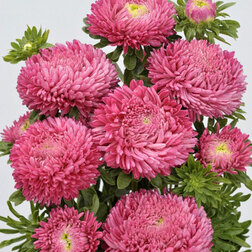 ����  ����� ����� ����� ������ (1��-3��) ���������������� ������, ������ �� 720 ���