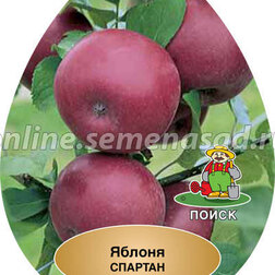 ����  ������ ������� (������ ��������) (� �����), ������ �� 648 ���