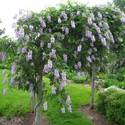 ����  �������� ����������� ��� ���, ������ �� 629 ���