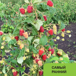 ����  ������ ������������ �����-��������, ������ �� 699 ���