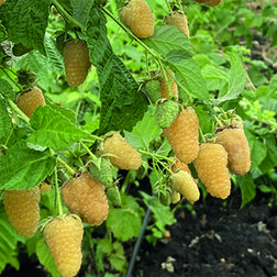 ����  ������ ������������ ���������, ������ �� 389 ���