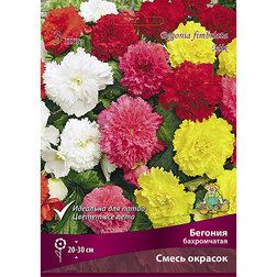 ����  ������� ����������� ����� �������, ������ �� 493 ���