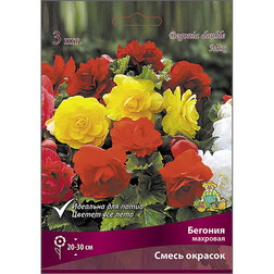 ����  ������� �������� ����� �������, ������ �� 493 ���